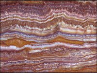 onyx_red-multicolor